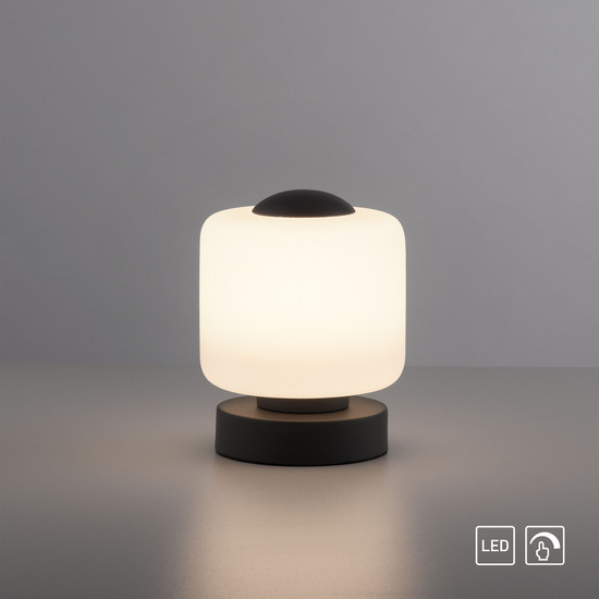 Paul Neuhaus BOTA LED Tischleuchte Warmweiss 5W 15,5-15cm 4037-13