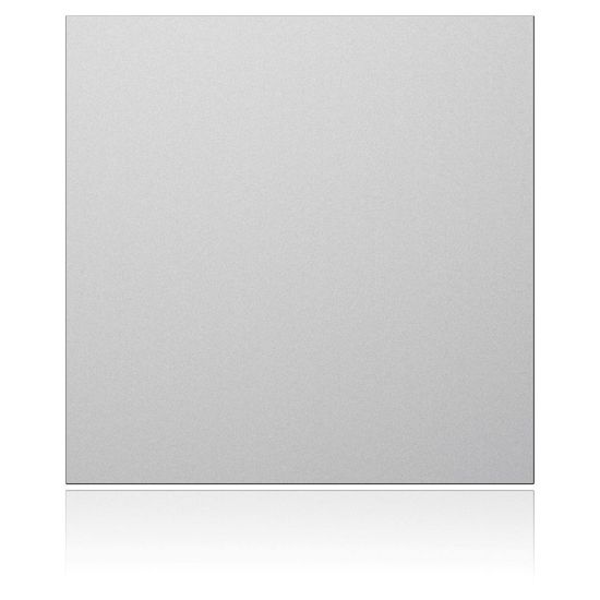 Ritto 1876620 Portier Blindmodul, silber