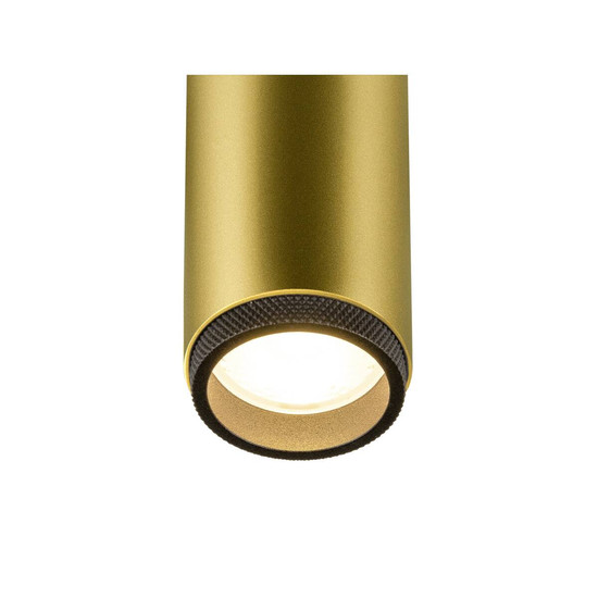 SLV GRIP! M, 1 Spot, zylindrisch, 3000K, 20W, PHASE, 42°, gold / schwarz 1008429