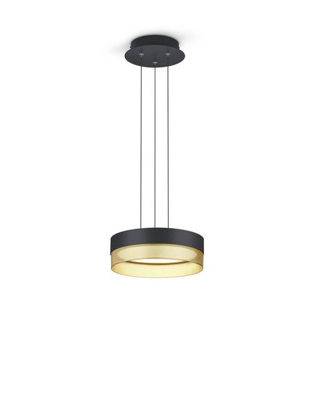 Hell Mesh LED Pendelleuchte Warmweiss Dimmbar Schwarz/Gold 20518/1-06