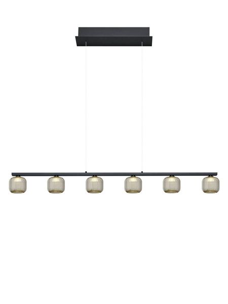 Hell Loft LED Pendelleuchte Warmweiss Dimmbar stufenlos höhenverstellbar Schwarz 20599/6-06