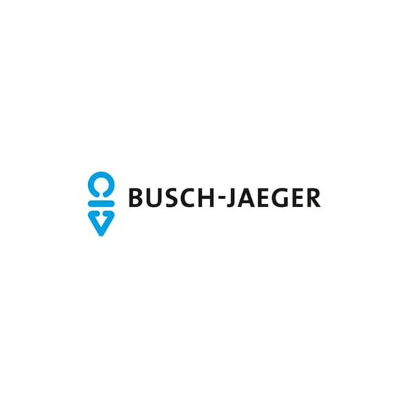 Busch-Jaeger Tastersymbol grün 2CKA001433A0838 2525-13