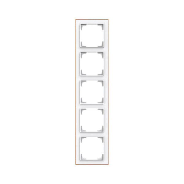 Busch-Jaeger Rahmen 5-fach mit Dekorring Busch-art linear 2CKA001754A4926 1725-441M