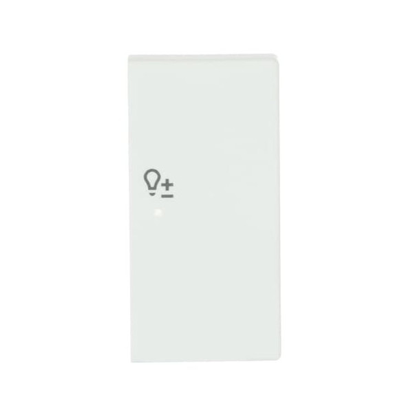 Busch-Jaeger Wippe 2-fach rechts, mit Symbol Dimmer 2CKA006220A0491 6234-22-884