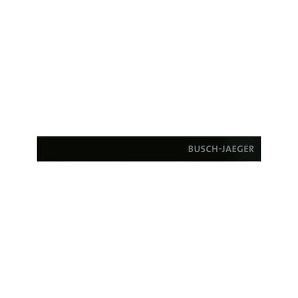 Busch-Jaeger Abschlussleiste unten mit Temperaturfühler und Schriftzug Busch-priOn 2CKA006310A0160 6352-825-101