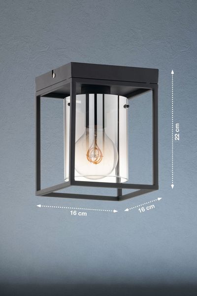 Fischer & Honsel Samu Deckenleuchte E27 Glas rauchfarben sandschwarz 21303