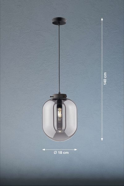 Fischer & Honsel Regi Pendelleuchte E27 Glas rauchfarben schwarz 60893