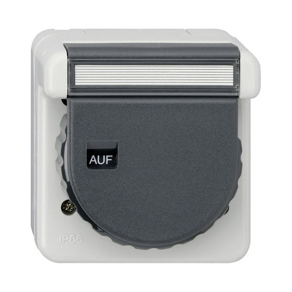 Gira 044031 SCHUKO-Steckdose KD Bajonett + Beschriftungsfeld WD AP Grau