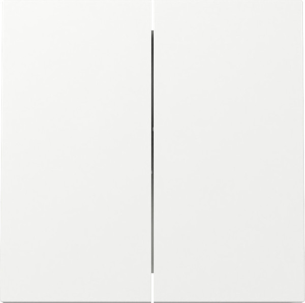 Gira 329570 Wippe 2-fach Flächenschalter Reinweiß