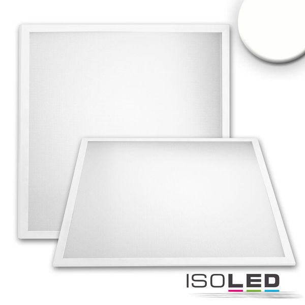 ISOLED LED Panel Professional Line 600 UGR19 4H/8H, 36W, Rahmen weiß RAL 9016, neutralweiß