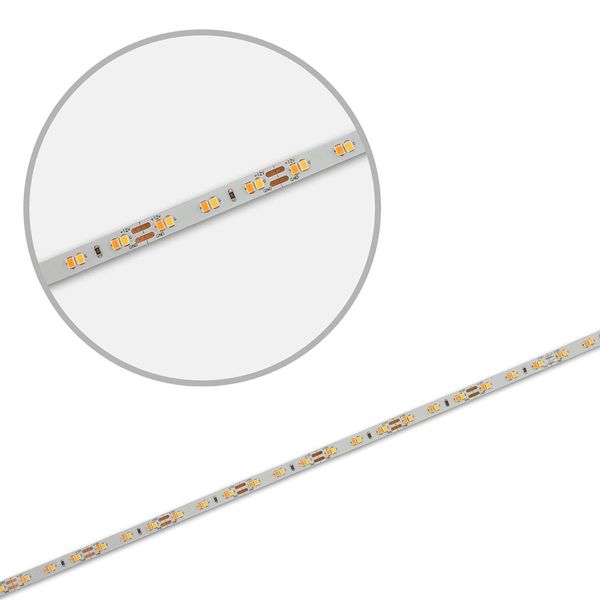 ISOLED LED CRI919/940 MiniAMP Flexband Streifen, 12V, 10W, IP20, weißdyn., 250cm, Kabel beids. + maleAMP, 126 LED/m