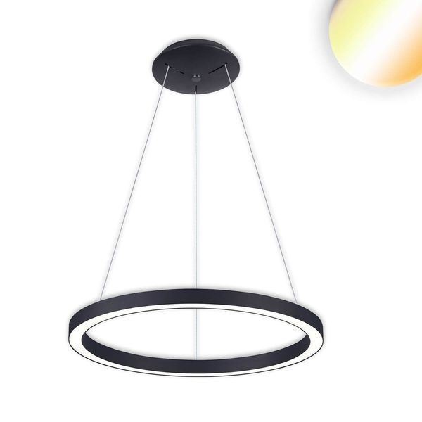 ISOLED LED Hängeleuchte Circle 580 schwarz, 48W, rund, ColorSwitch 3000/3500/4000K, dimmbar