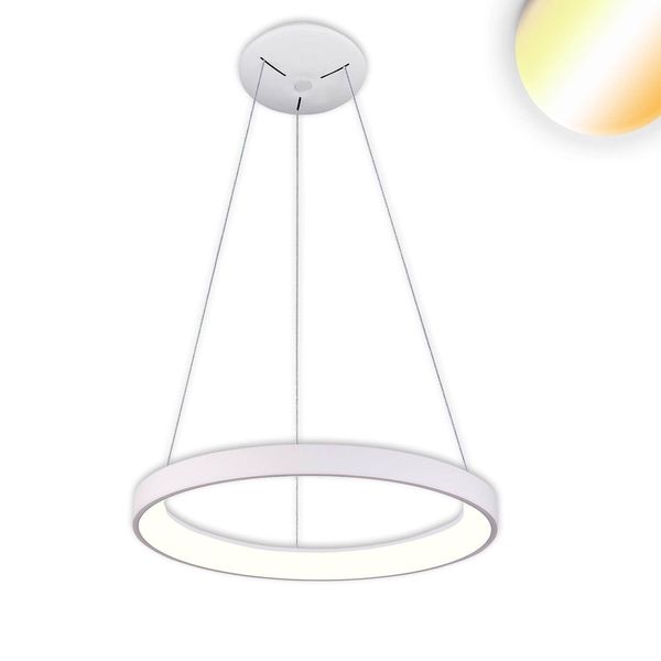 ISOLED LED Hängeleuchte Orbit 480, weiß, 38W, rund, ColorSwitch 3000/3500/4000K, dimmbar