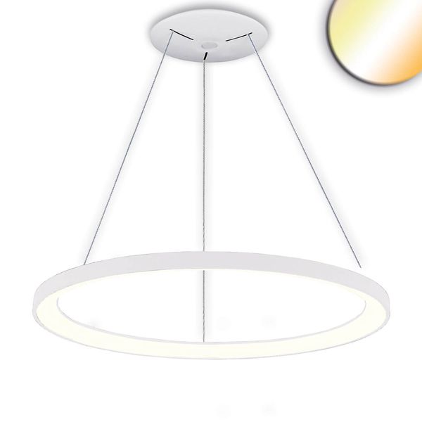 ISOLED LED Hängeleuchte Orbit 780, weiß, 60W, rund, ColorSwitch 3000/3500/4000K, dimmbar