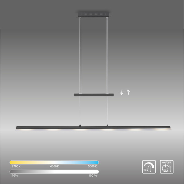 JUST LIGHT NELE LED Pendelleuchte Steuerbare Lichtfarbe 4W 6-fach Anthrazit/Weiß 85-150cm 15880-13