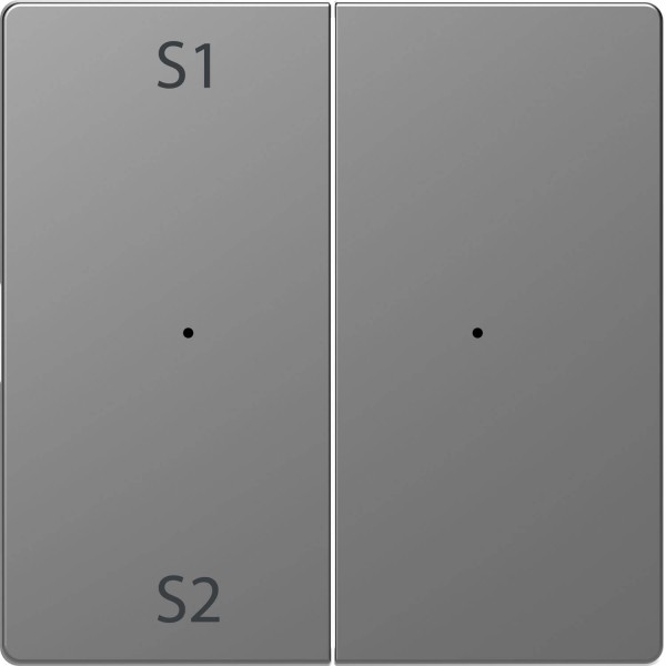 Merten MEG5226-6036 Wippen für Taster-Modul 2fach (Szene1/2, blank), Edelstahl, System Design