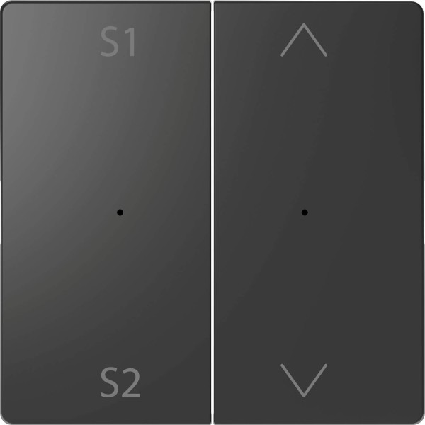 Merten MEG5227-6034 Wippen für Taster-Modul 2fach (Szene1/2, Auf/Ab), Anthrazit, System Design