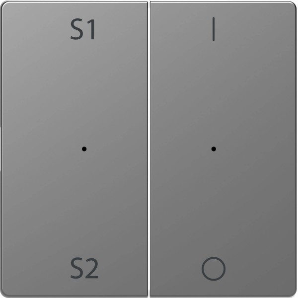 Merten MEG5228-6036 Wippen für Taster-Modul 2fach (Szene1/2, 1/0), Edelstahl, System Design