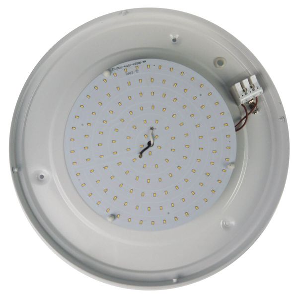 Niermann LED 12W Deckenleuchte Alabaster-Glas, Nickel matt, 35cm, warmweiss, Made in Germany