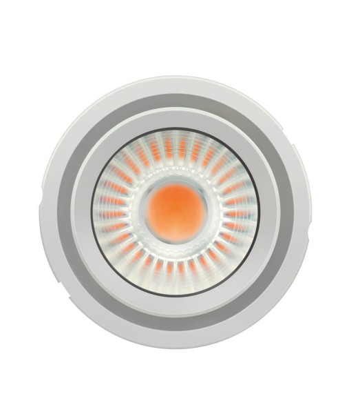 OSRAM PrevaLED COIN LED-Modul 111 COB G2 4300-840-24D-G2 4350lm 3900K neutralweiss 4052899621404