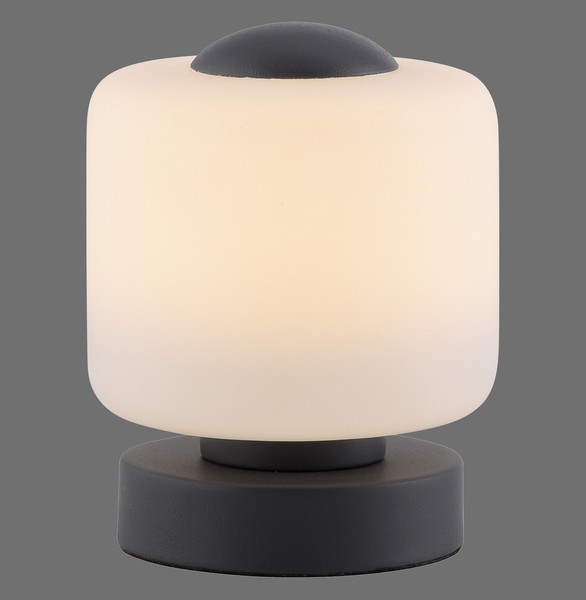 Paul Neuhaus BOTA LED Tischleuchte Warmweiss 5W 15,5-15cm 4037-13