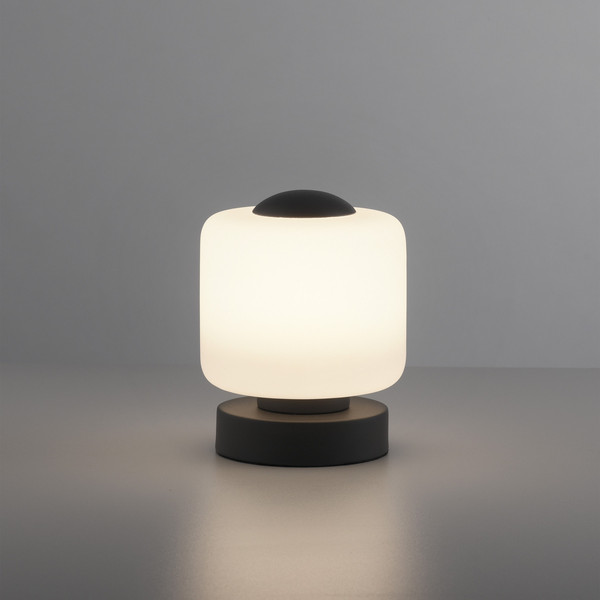 Paul Neuhaus BOTA LED Tischleuchte Warmweiss 5W 15,5-15cm 4037-13