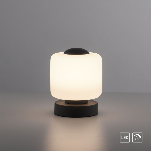 Paul Neuhaus BOTA LED Tischleuchte Warmweiss 5W 15,5-15cm 4037-13
