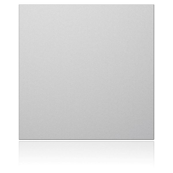 Ritto 1876620 Portier Blindmodul, silber