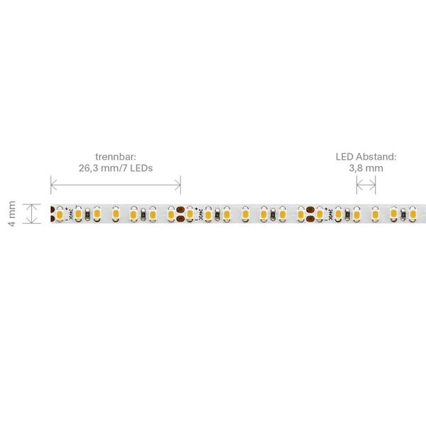 SIGOR 12W/m EXPERT SLIM LED-Streifen 2700K 5m 266LED/m IP20 24V 1150lm Ra90