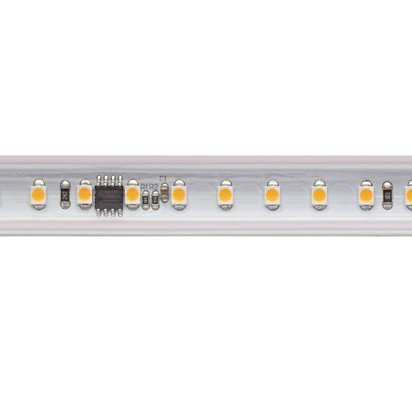 SIGOR 14W/m Hochvolt LED-Streifen 2700K 10m 72LED/m IP65 230V 1230lm/m Ra90 Set inkl. Endkappe