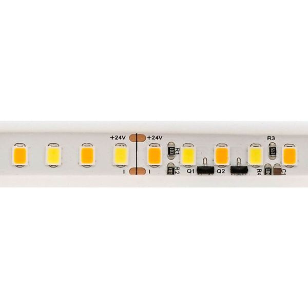 SIGOR 10W/m dimmbar-To-Warm LED-Streifen 5000-2200K 5m 240LED/m IP67 24V