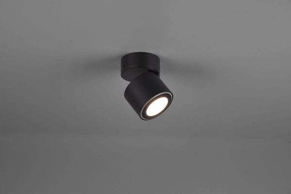 Trio Taurus LED Deckenleuchte  5W ⌀8,7cm Schwarz Matt warmweiss