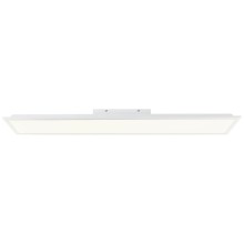 Brilliant Briston LED Deckenaufbau-Paneel 100x25cm 24W Neutralweiß Weiß G99930A05