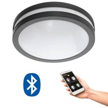 Eglo 33571 LOCANA-C LED Außen-Wand- / Deckenleuchte 14W Ø260mm Anthrazit Weiss Bluetooth Warmweiss IP44 Dimmbar