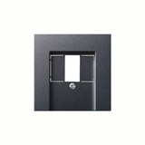 Gira 027628 Abdeckung TAE USB System 55 Anthrazit