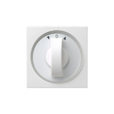 Gira 066603 Abdeckung Knebel Zeitschalter + Jalousie System 55 Reinweiß