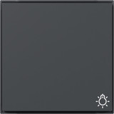 Gira 328567 Wippe Symbol Licht Gira TX_44 (WG UP) Anthrazit