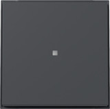 Gira 329067 Wippe Kontrollfür Gira TX_44 (WG UP) Anthrazit