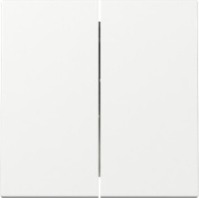 Gira 329503 Wippe 2-fach System 55 Reinweiß