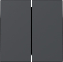 Gira 329528 Wippe 2-fach System 55 Anthrazit