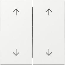 Gira 329703 Wippe 2-fach Pfeile System 55 Reinweiß