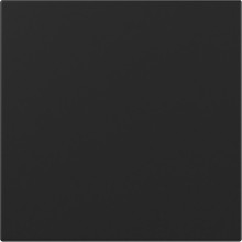 Gira 3496005 Wippe gerade System 55 Schwarz m
