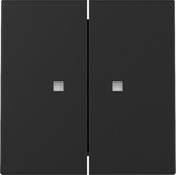 Gira 3631005 Wippe 2-fach Kontrollfür System 55 Schwarz m