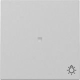 Gira 3674015 Wippe Kontrollfür + Symbol Licht System 55 Grau m
