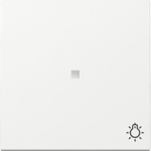 Gira 367403 Wippe Kontrollfür + Symbol Licht System 55 Reinweiß