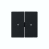 Gira 5369005 Wippe 2-fach unbedruckt Kontrollfür System 55 Schwarz m