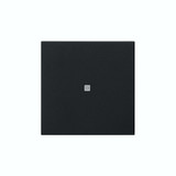 Gira 5371005 Wippe 1-fach unbedruckt Kontrollfür System 55 Schwarz m
