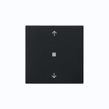Gira 5382005 S3000 BedienAufsatz Bluetooth Pfeile System 55 Schwarz m