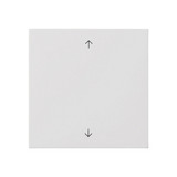 Gira 5389112 Wippe 1-fach Pfeile Flächenschalter Reinweiß