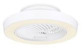 Globo Domey LED Deckenventilator 40W CCT Weiß, Aluminium Fernbedienung Nachtlicht 20,6cm 03633